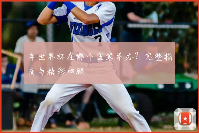 年世界杯在哪个国家举办？完整指南与精彩回顾
